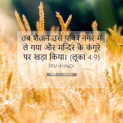 मत्ती 4:5 HINIRV बाइबल आयत इमेज