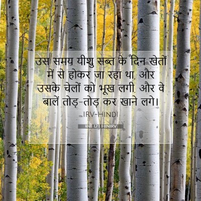 मत्ती 12:1 बाइबल आयत की व्याख्या