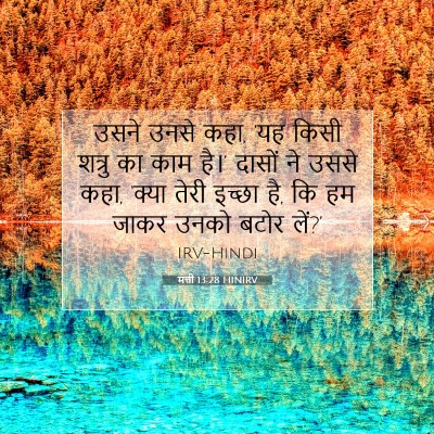 मत्ती 13:28 बाइबल आयत की व्याख्या
