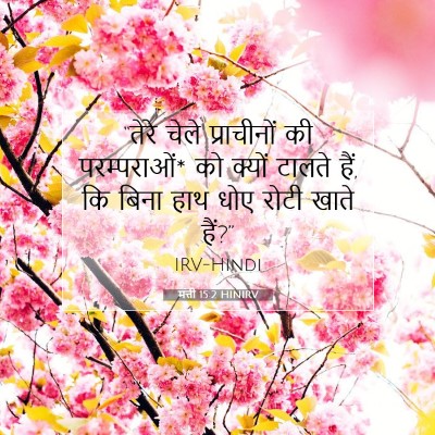 मत्ती 15:2 HINIRV बाइबल आयत इमेज