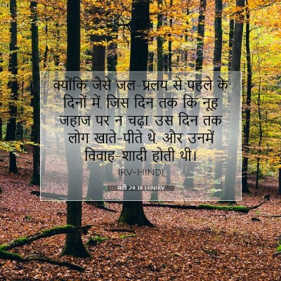 मत्ती 24:38 HINIRV बाइबल आयत इमेज