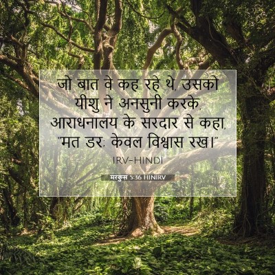 मरकुस 5:36 बाइबल आयत की व्याख्या