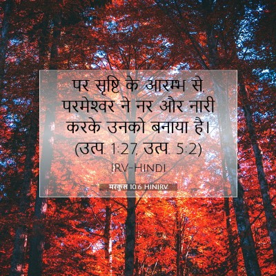 मरकुस 10:6 HINIRV बाइबल आयत इमेज