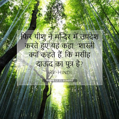 मरकुस 12:35 HINIRV बाइबल आयत इमेज