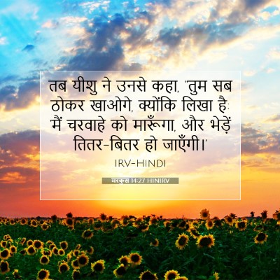 मरकुस 14:27 HINIRV बाइबल आयत इमेज