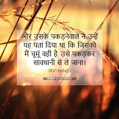 मरकुस 14:44 HINIRV बाइबल आयत इमेज