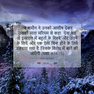 लूका 2:34 HINIRV बाइबल आयत इमेज
