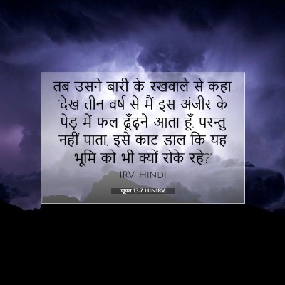 लूका 13:7 HINIRV बाइबल आयत इमेज