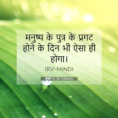 लूका 17:30 HINIRV बाइबल आयत इमेज