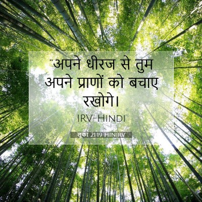 लूका 21:19 HINIRV बाइबल आयत इमेज