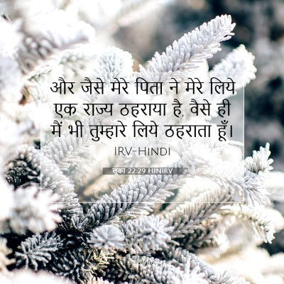 लूका 22:29 HINIRV बाइबल आयत इमेज