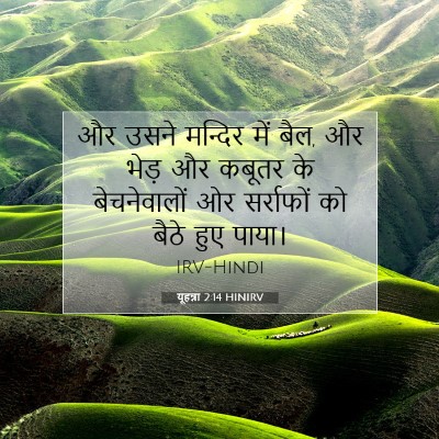 यूहन्ना 2:14 बाइबल आयत की व्याख्या