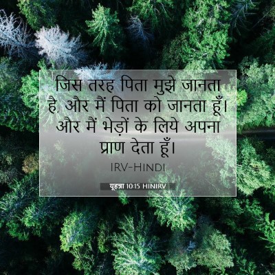 यूहन्ना 10:15 बाइबल आयत की व्याख्या