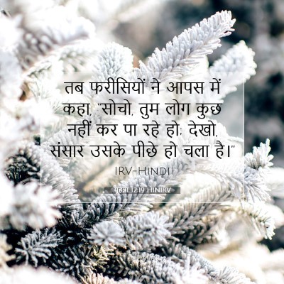 यूहन्ना 12:19 बाइबल आयत की व्याख्या
