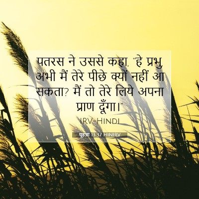 यूहन्ना 13:37 बाइबल आयत की व्याख्या
