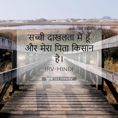 यूहन्ना 15:1 HINIRV बाइबल आयत इमेज