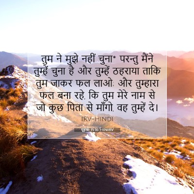यूहन्ना 15:16 बाइबल आयत की व्याख्या