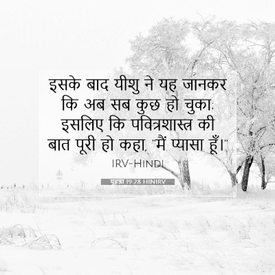 यूहन्ना 19:28 बाइबल आयत की व्याख्या