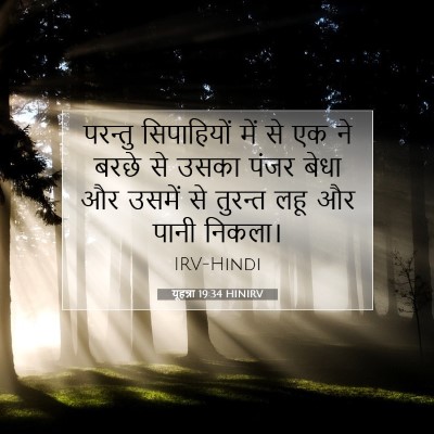 यूहन्ना 19:34 बाइबल आयत की व्याख्या