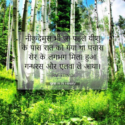 यूहन्ना 19:39 बाइबल आयत की व्याख्या