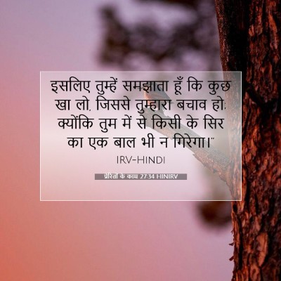 प्रेरितों के काम 27:34 HINIRV बाइबल आयत इमेज
