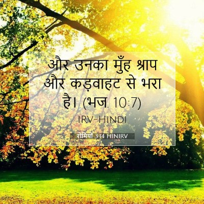 रोमियों 3:14 बाइबल आयत की व्याख्या