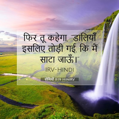 रोमियों 11:19 बाइबल आयत की व्याख्या