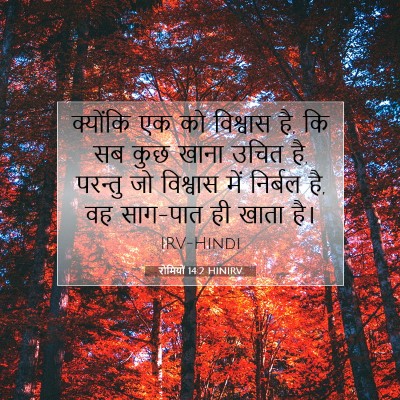 रोमियों 14:2 बाइबल आयत की व्याख्या