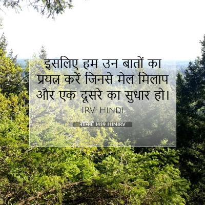 रोमियों 14:19 बाइबल आयत की व्याख्या