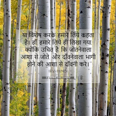 1 कुरिन्थियों 9:10 बाइबल आयत की व्याख्या