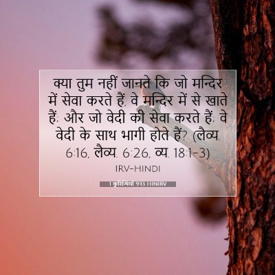 1 कुरिन्थियों 9:13 बाइबल आयत की व्याख्या