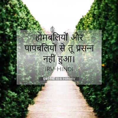 इब्रानियों 10:6 बाइबल आयत की व्याख्या