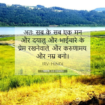 1 पतरस 3:8 HINIRV बाइबल आयत इमेज