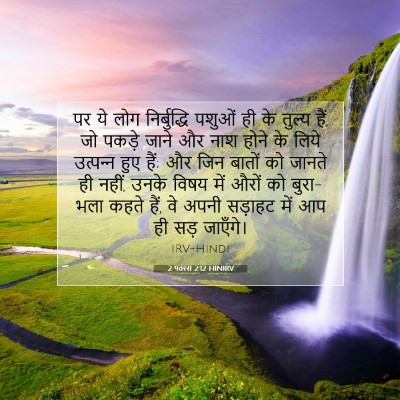 2 पतरस 2:12 बाइबल आयत की व्याख्या